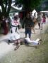 picture001.jpg